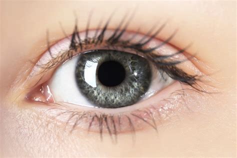eye pic.
